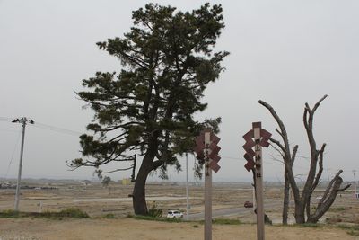 c12